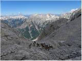 Planina Blato - Teme (Hribarice)